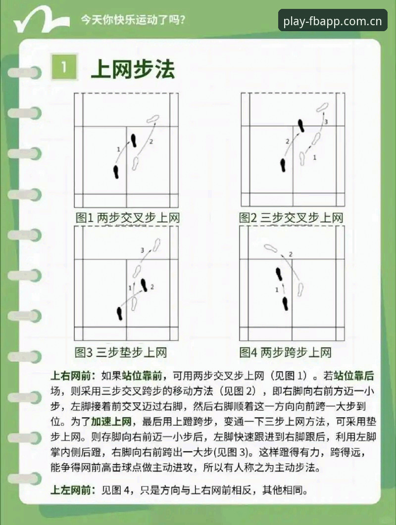 5个新手必看技巧，助你快速上手FB体育APP中国版攻略